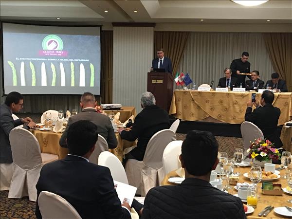 Macfrut e International Asparagus Days: presentati in Perù
